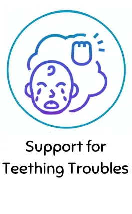 Support for Teething Troubles